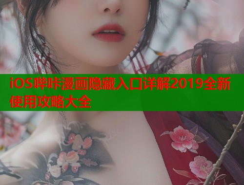 iOS哔咔漫画隐藏入口详解2019全新使用攻略大全  第1张