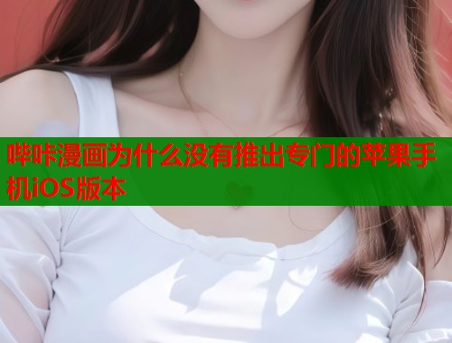 哔咔漫画为什么没有推出专门的苹果手机iOS版本  第2张