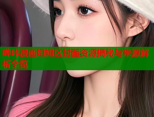 哔咔漫画姐姐区封面资源揭秘与来源解析全览  第1张